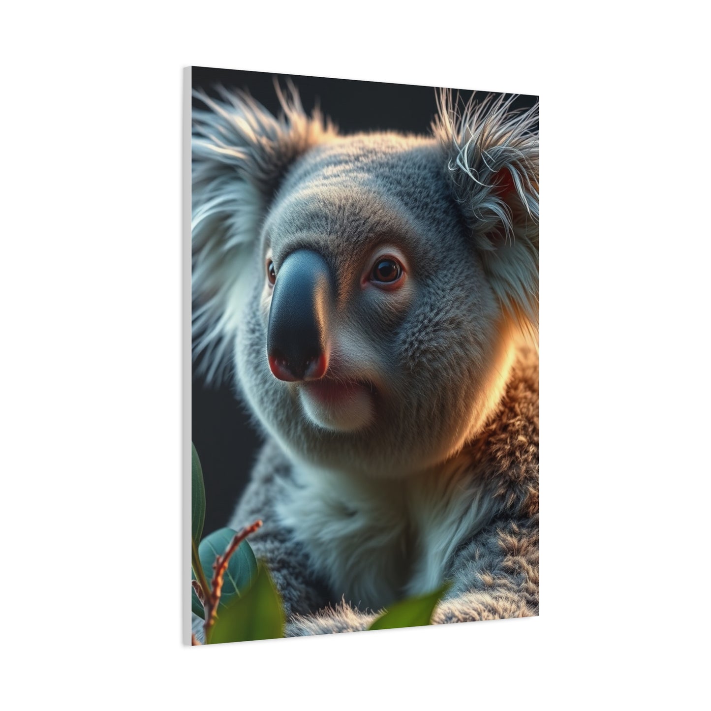 Supreme Koala Art Collection Wall Art & Canvas Print