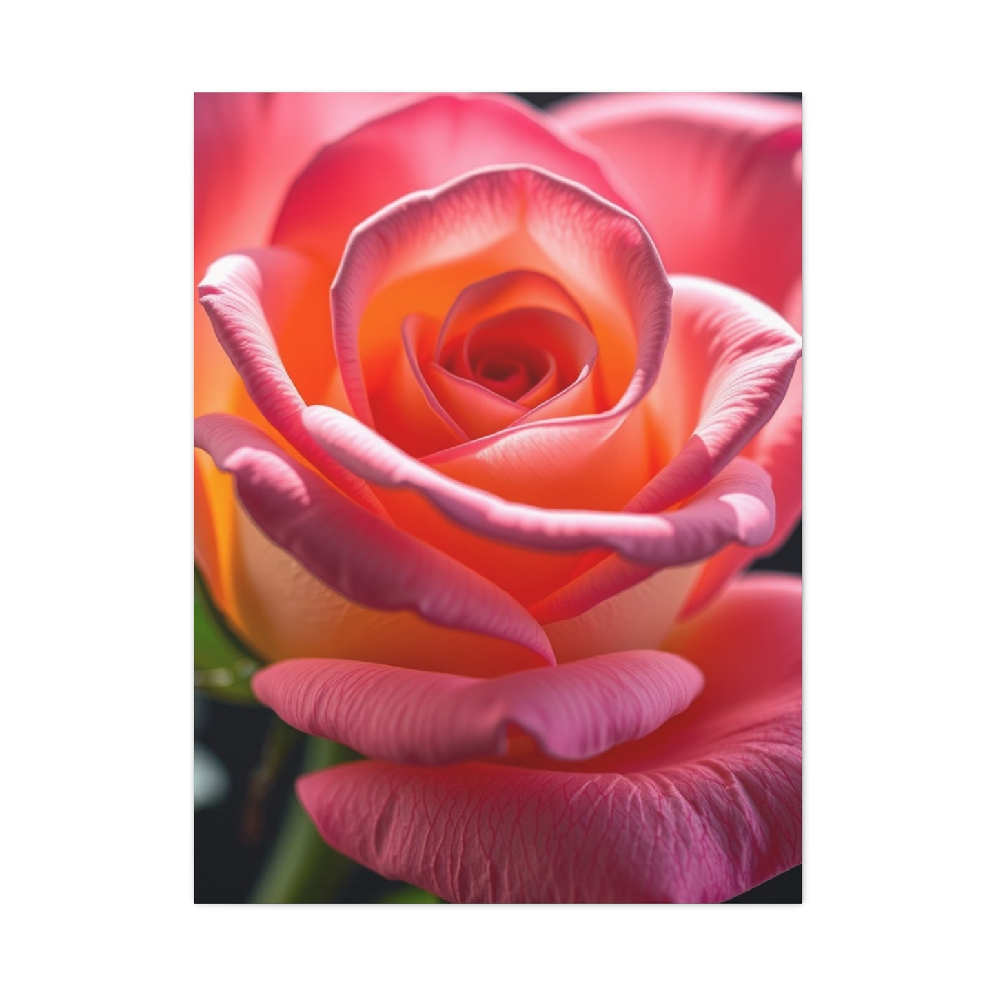 Rose Flower Art Supreme Gallery Wall Art & Canvas Print