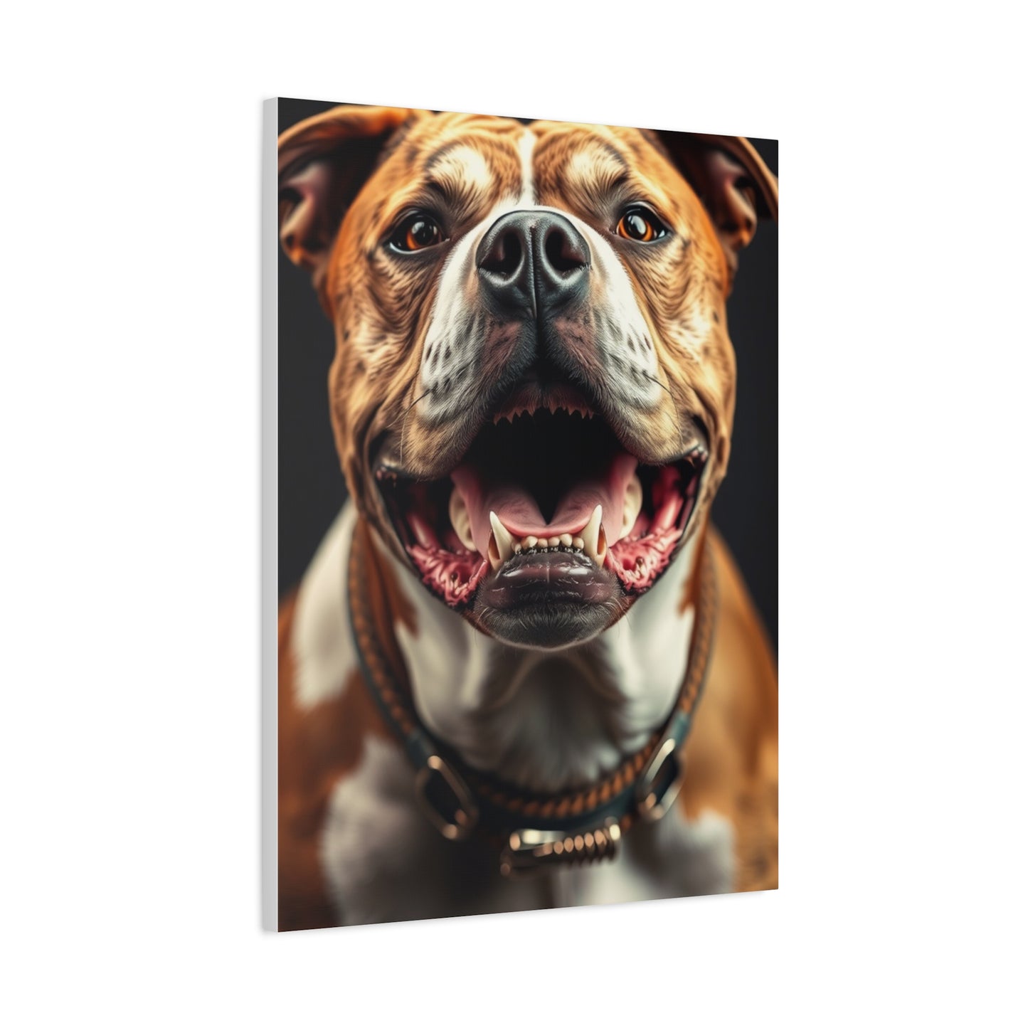 Pit Bull Art Supreme Gallery Wall Art & Canvas Print