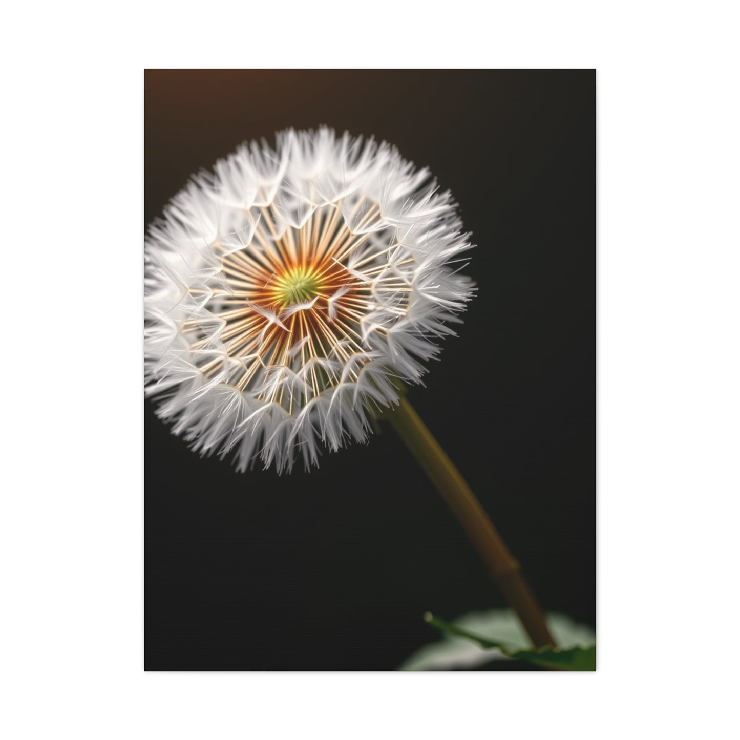 Dandelion Flower Art Refined Canvas Wall Art & Canvas Print