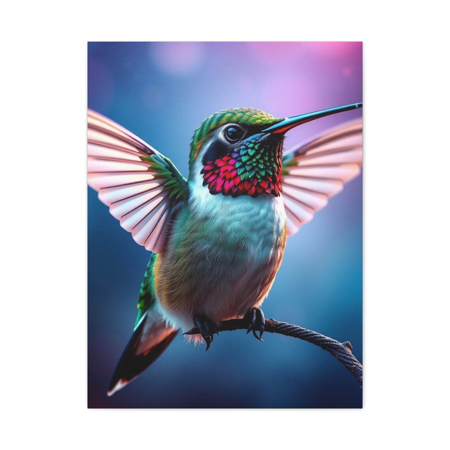 Humming Bird Art Luxury Canvas Wall Art & Canvas Print