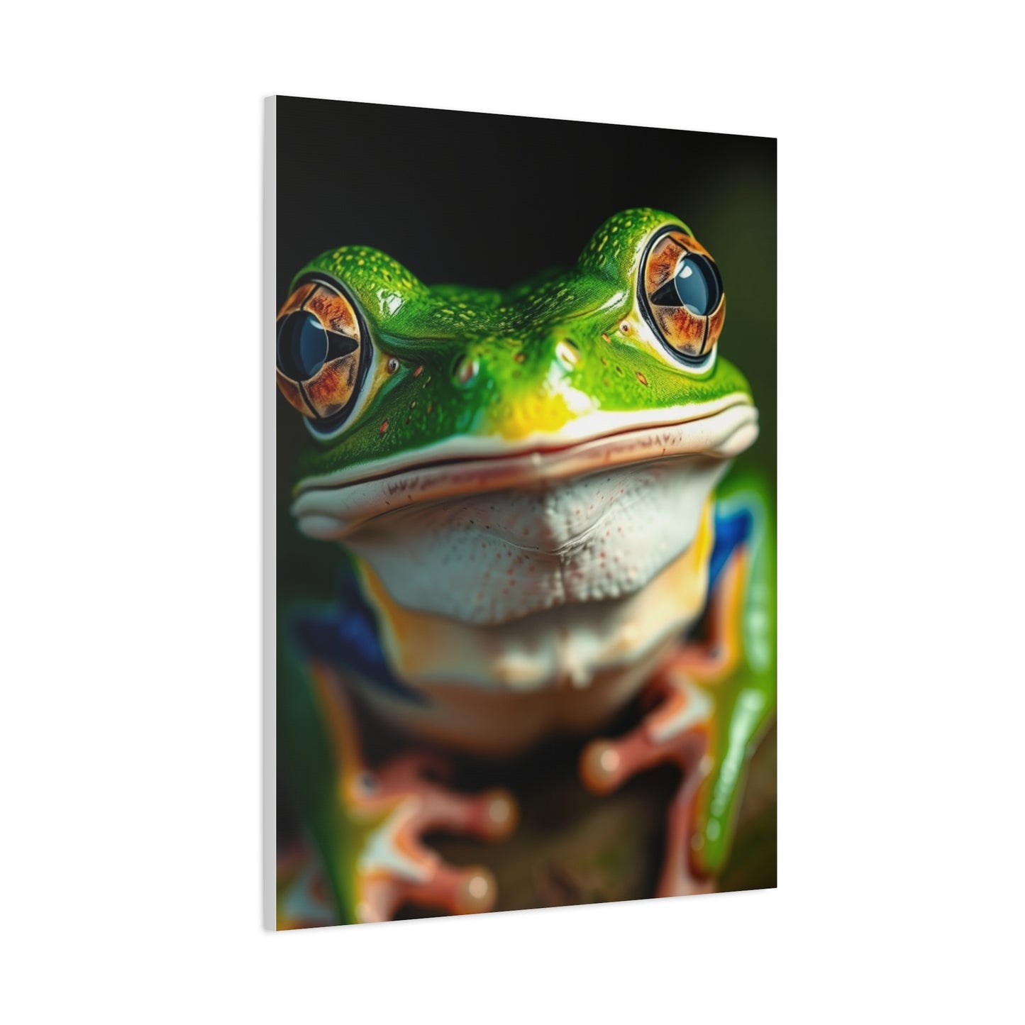 Frog Art Luxury Canvas Wall Art & Canvas Print