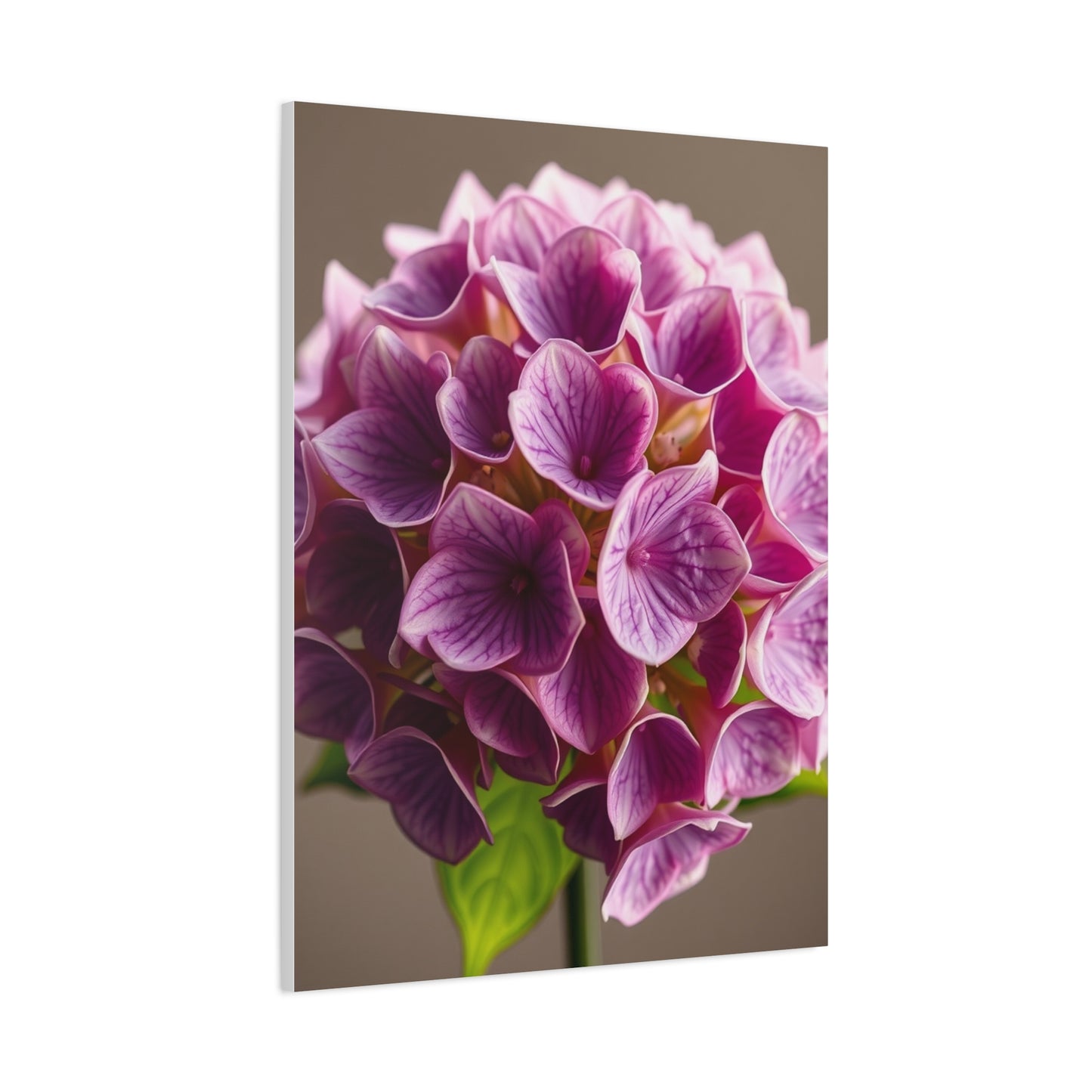 Collection Hydrangea Flower Art Art Wall Art & Canvas Print