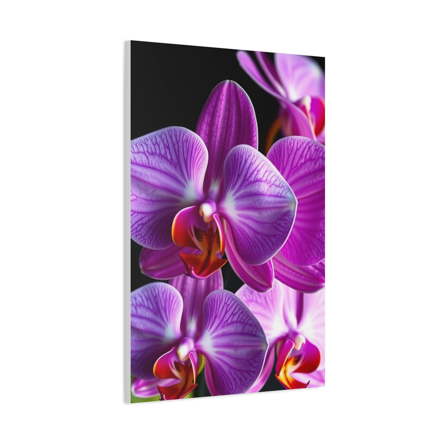 Elite Orchid Flower Art Vision Wall Art & Canvas Print
