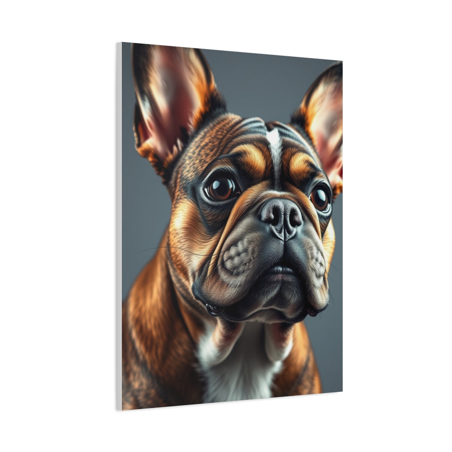French Bulldog Art Supreme Gallery Wall Art & Canvas Print