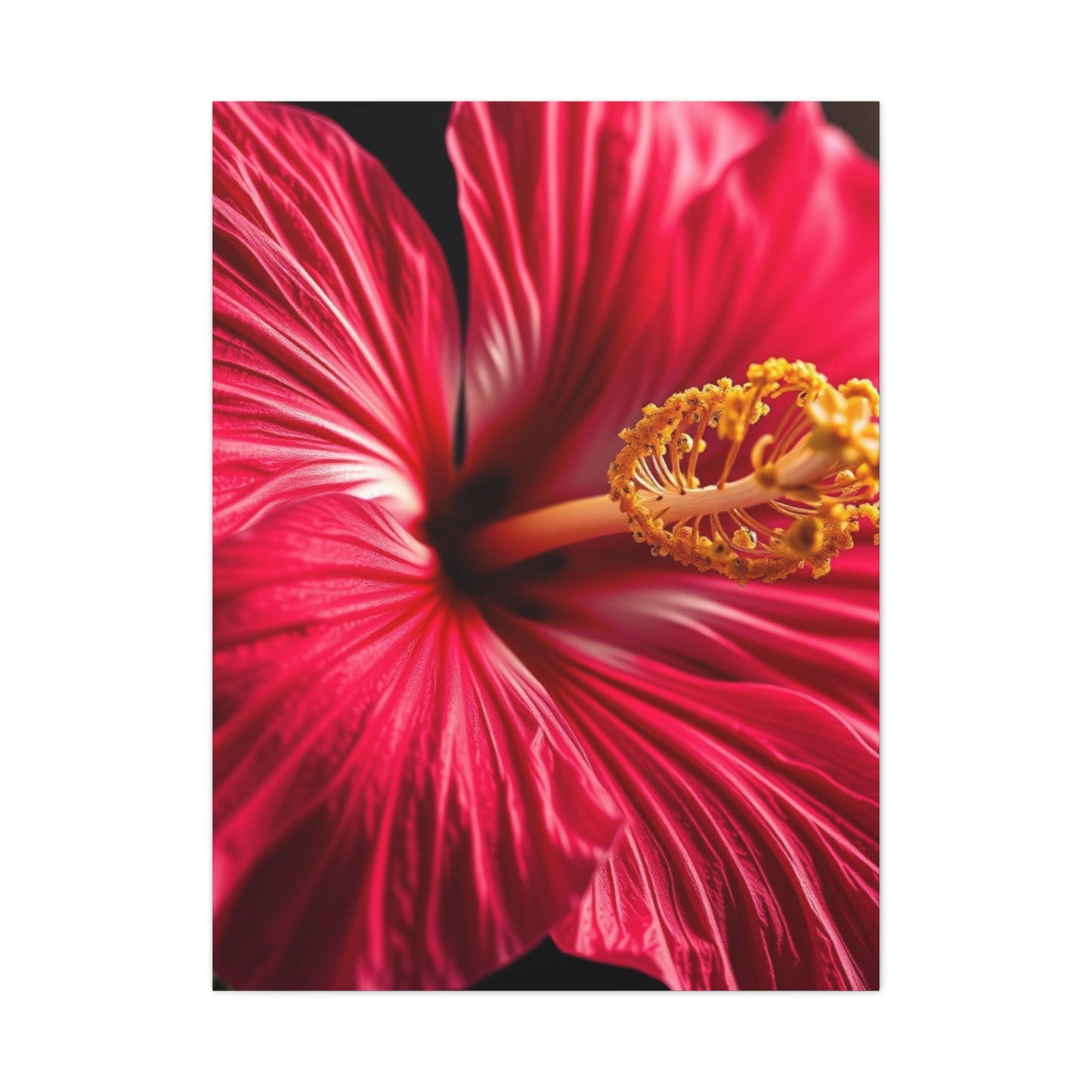 Hibiscus Flower Art Luxury Canvas Wall Art & Canvas Print