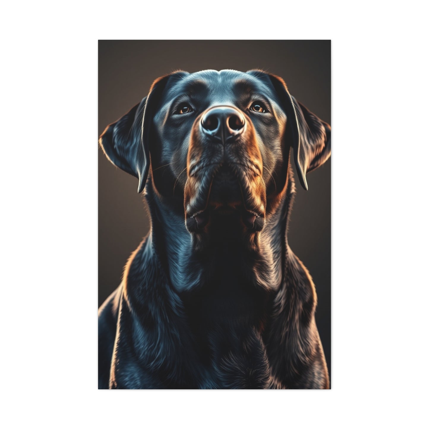 Supreme Labrador Retriever Art Collection Wall Art & Canvas Print