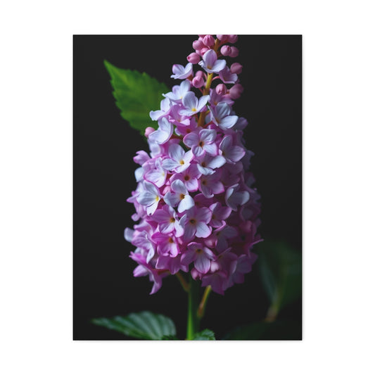 Supreme Lilac Flower Art Collection Wall Art & Canvas Print