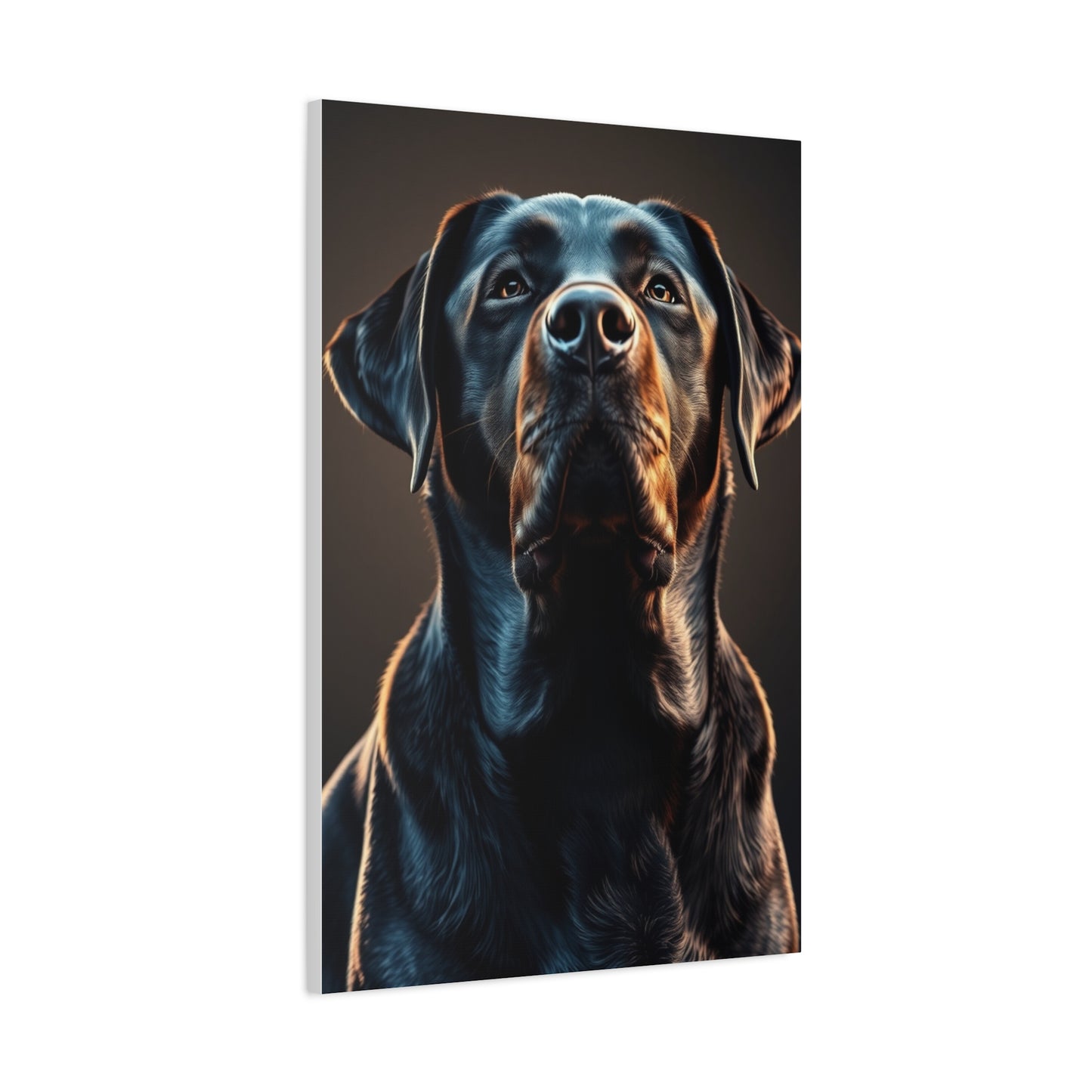 Supreme Labrador Retriever Art Collection Wall Art & Canvas Print