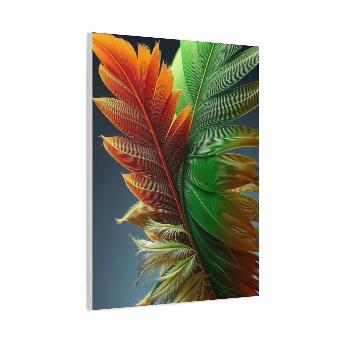 Supreme Feather Art Collection Wall Art & Canvas Print
