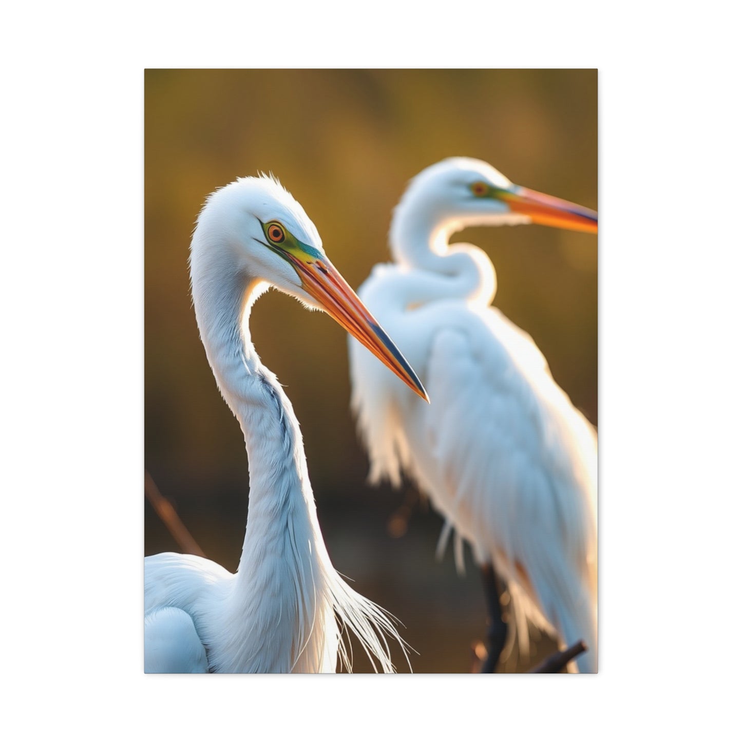 Herons and Egrets Art Luxury Canvas Wall Art & Canvas Print