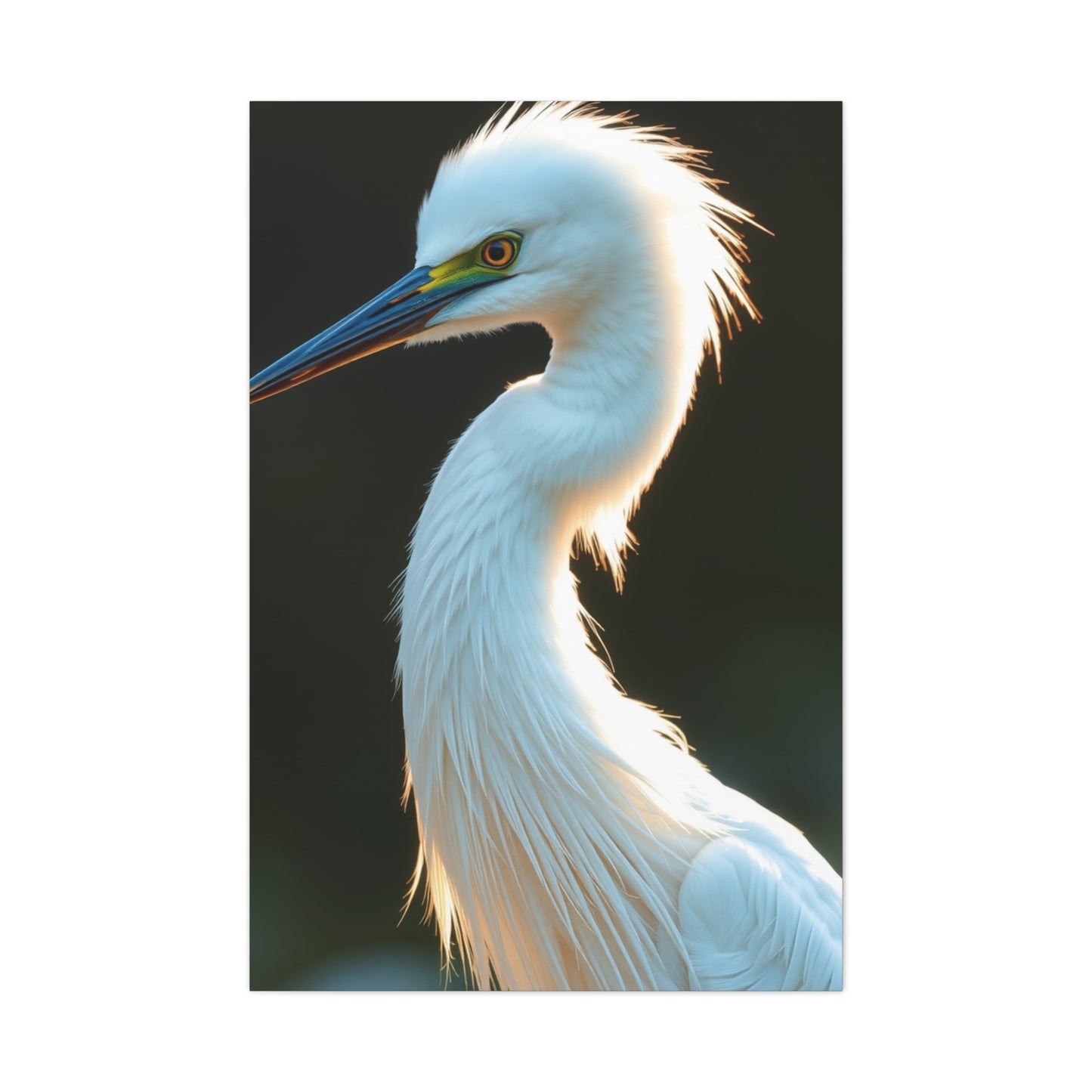 Supreme Egret Art Collection Wall Art & Canvas Print