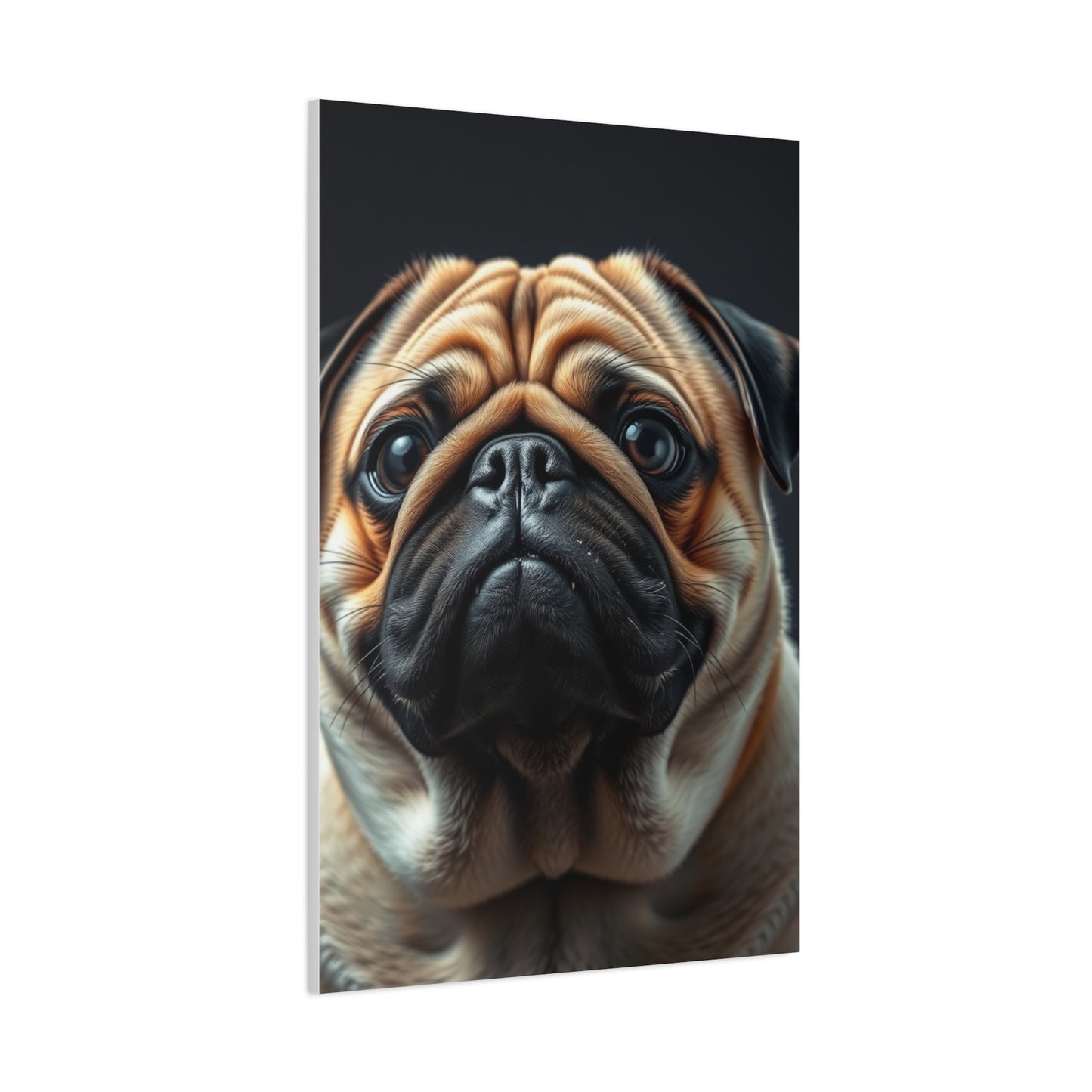 Supreme Pug Art Collection Wall Art & Canvas Print
