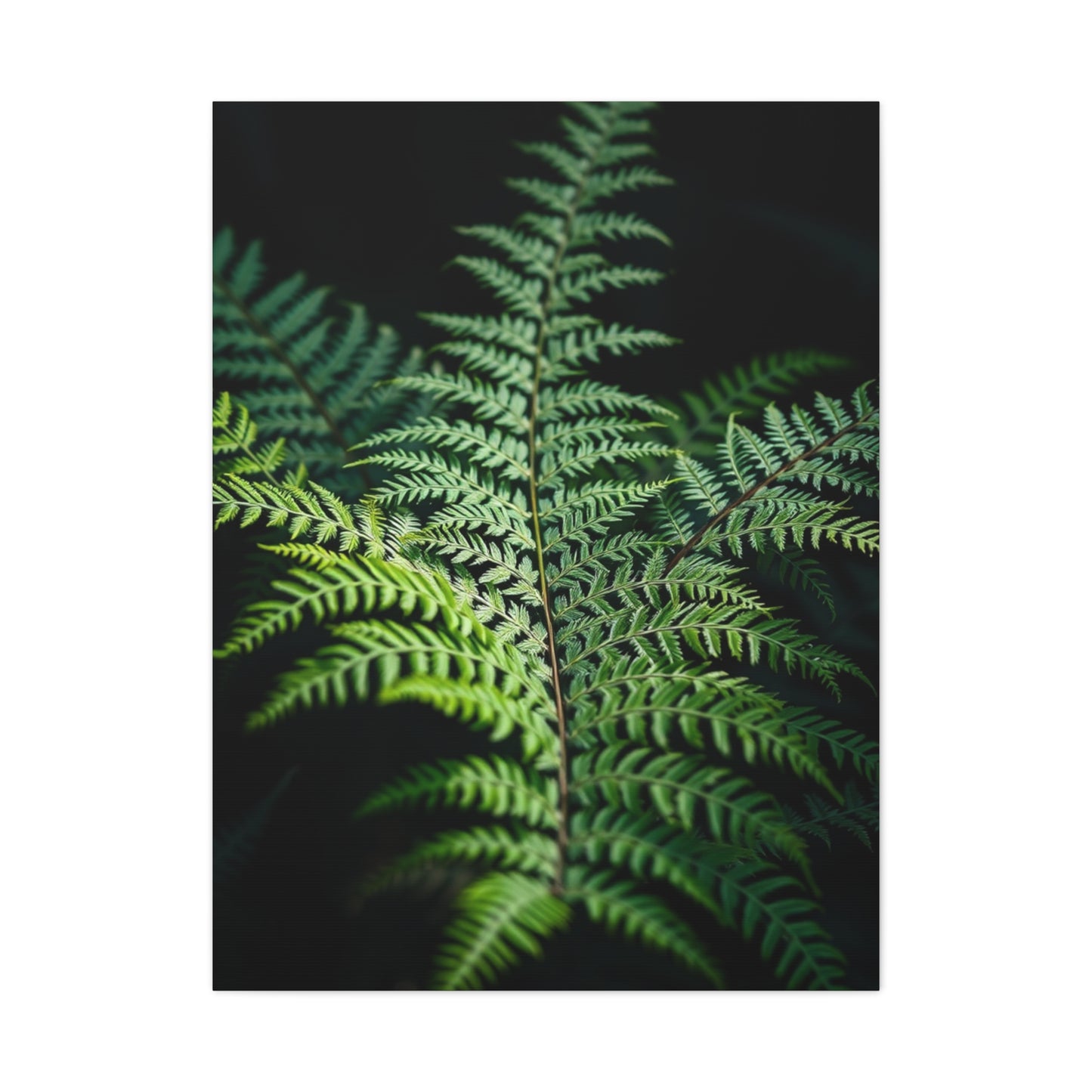 Fern Art Refined Canvas Wall Art & Canvas Print