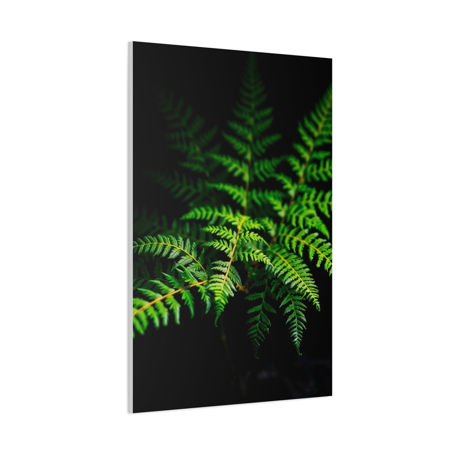 Supreme Fern Art Collection Wall Art & Canvas Print