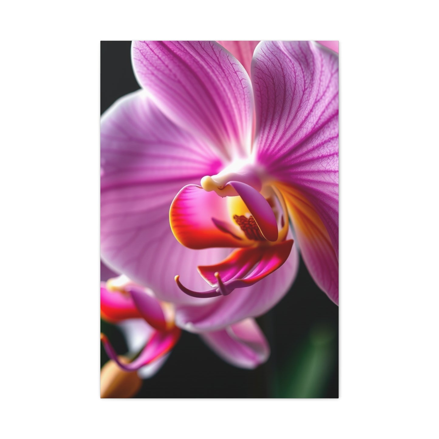 Masterpiece Orchid Flower Art Vision Wall Art & Canvas Print