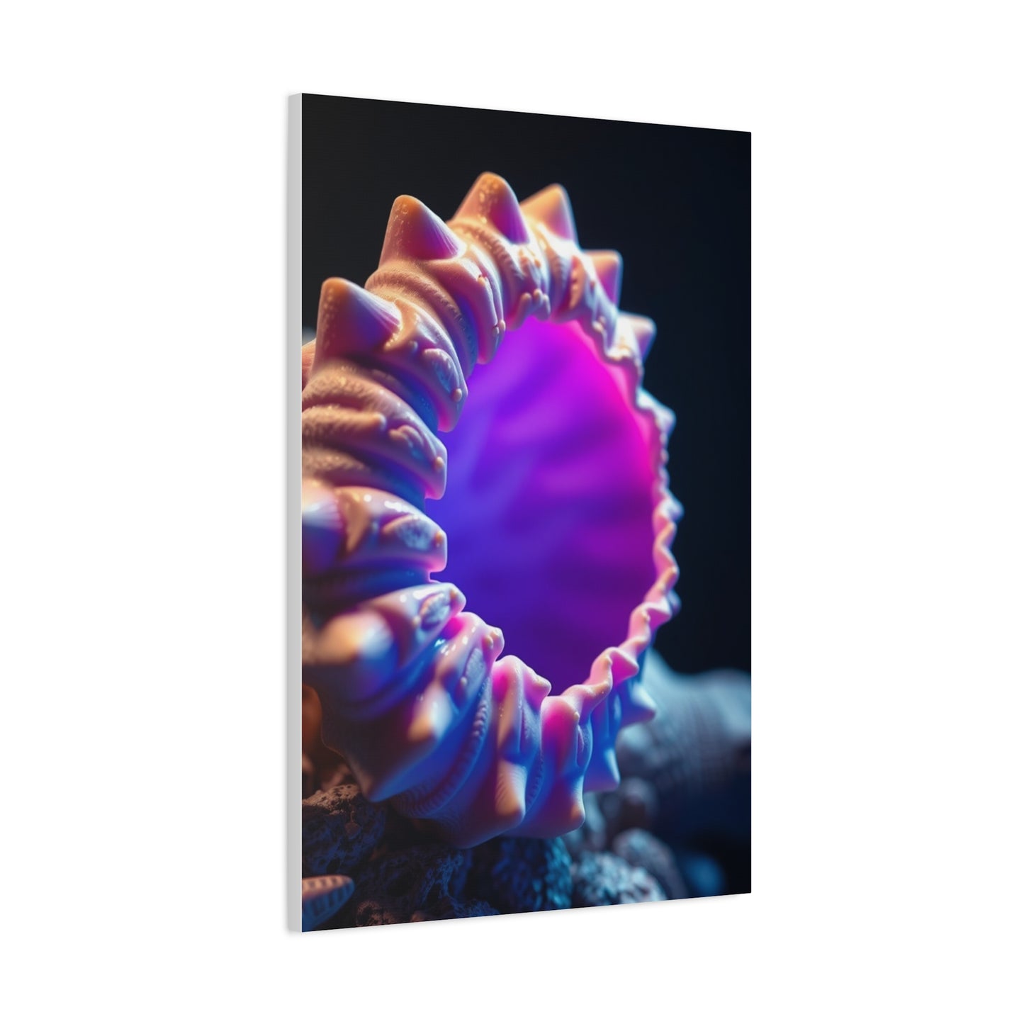 Supreme Sea Shell Art Collection Wall Art & Canvas Print