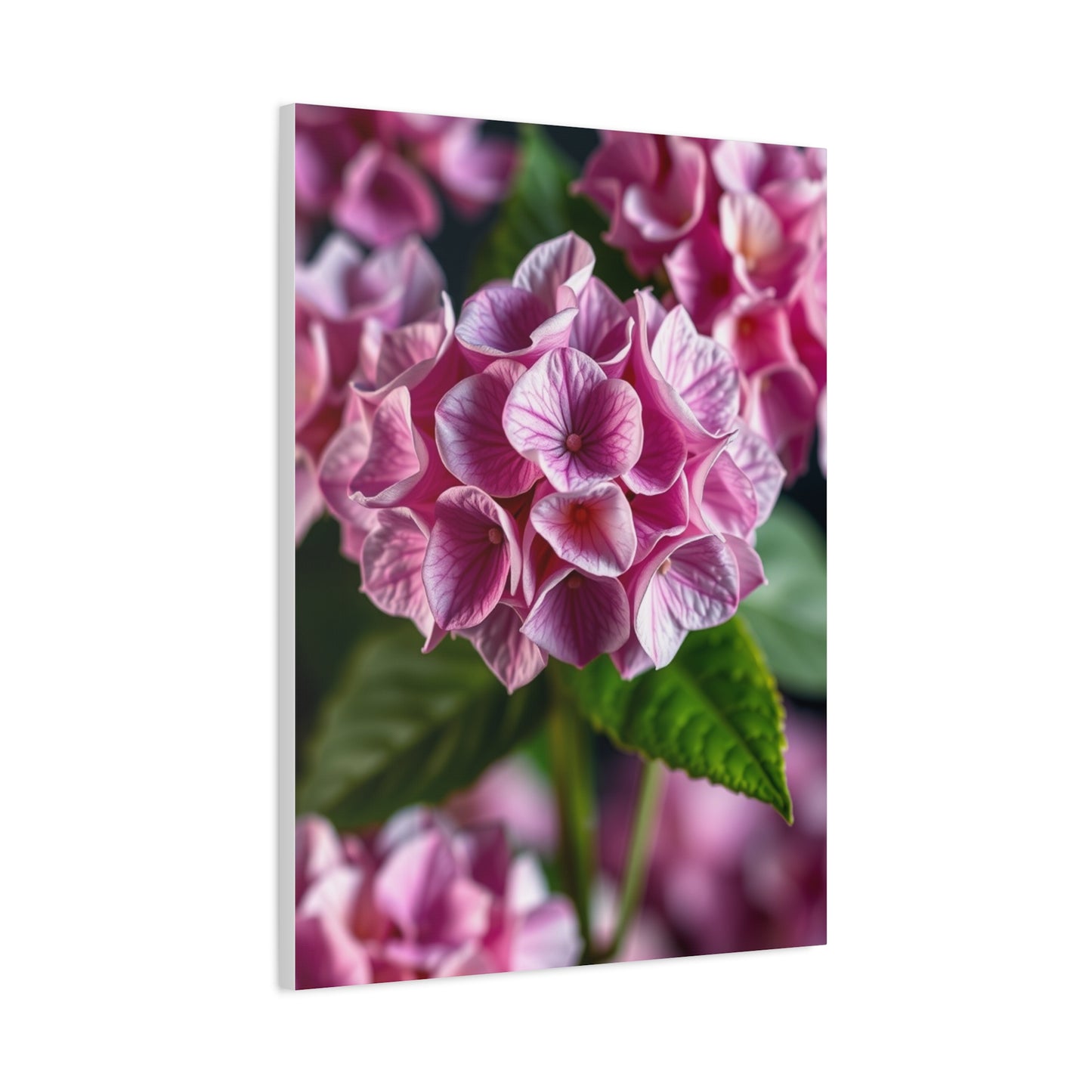Supreme Hydrangea Flower Art Collection Wall Art & Canvas Print