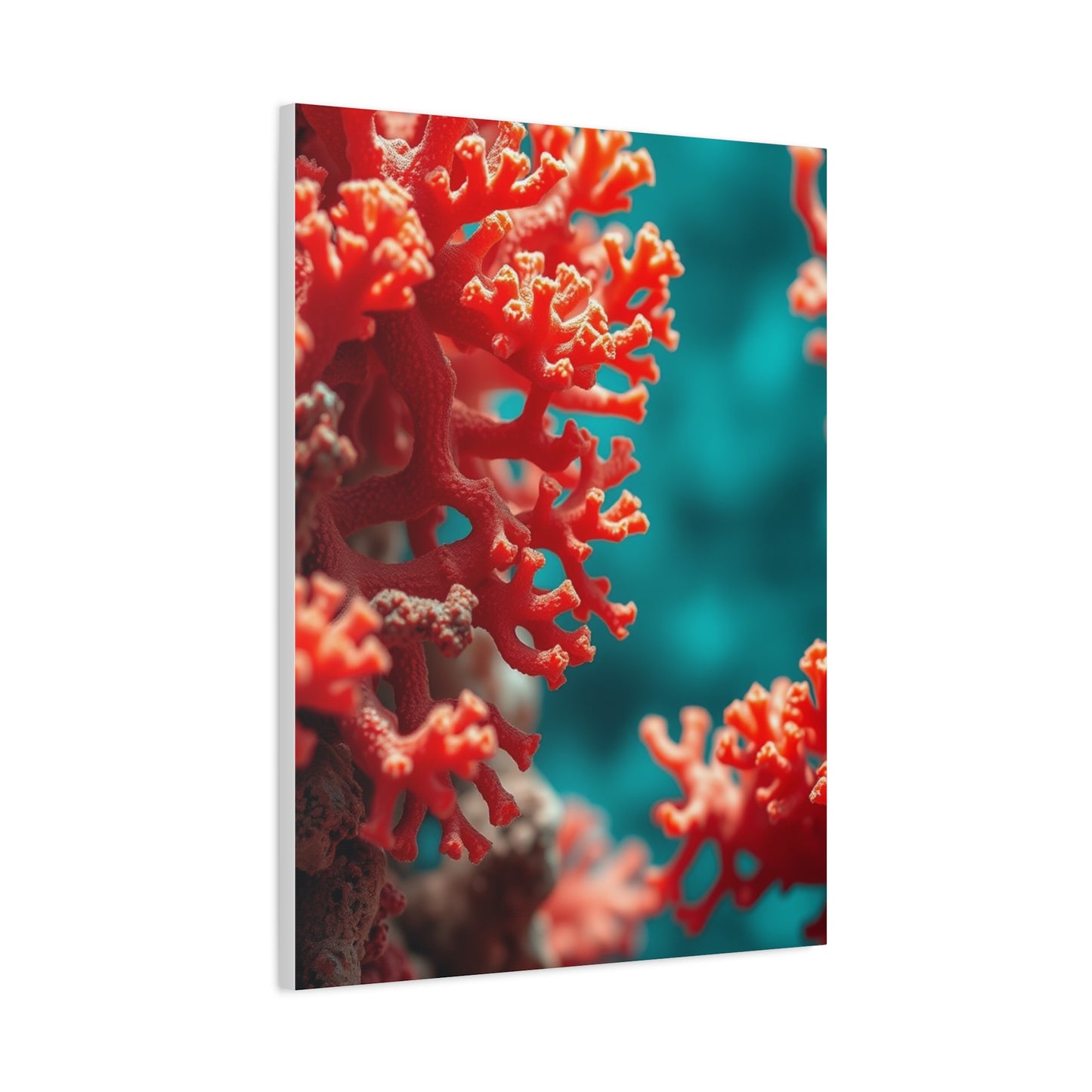 Supreme Coral Art Collection Wall Art & Canvas Print
