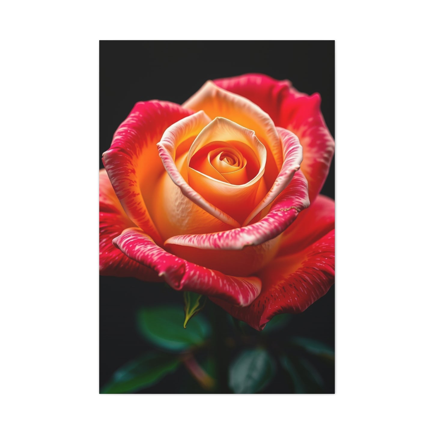 Supreme Rose Art Collection Wall Art & Canvas Print