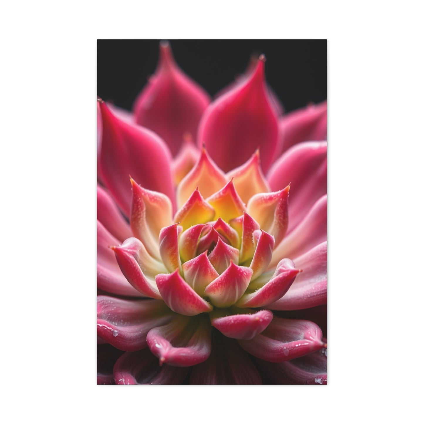 Succulent Art Supreme Gallery Wall Art & Canvas Print