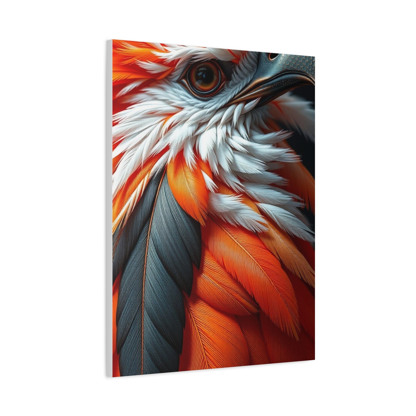 Feather Art Supreme Gallery Wall Art & Canvas Print