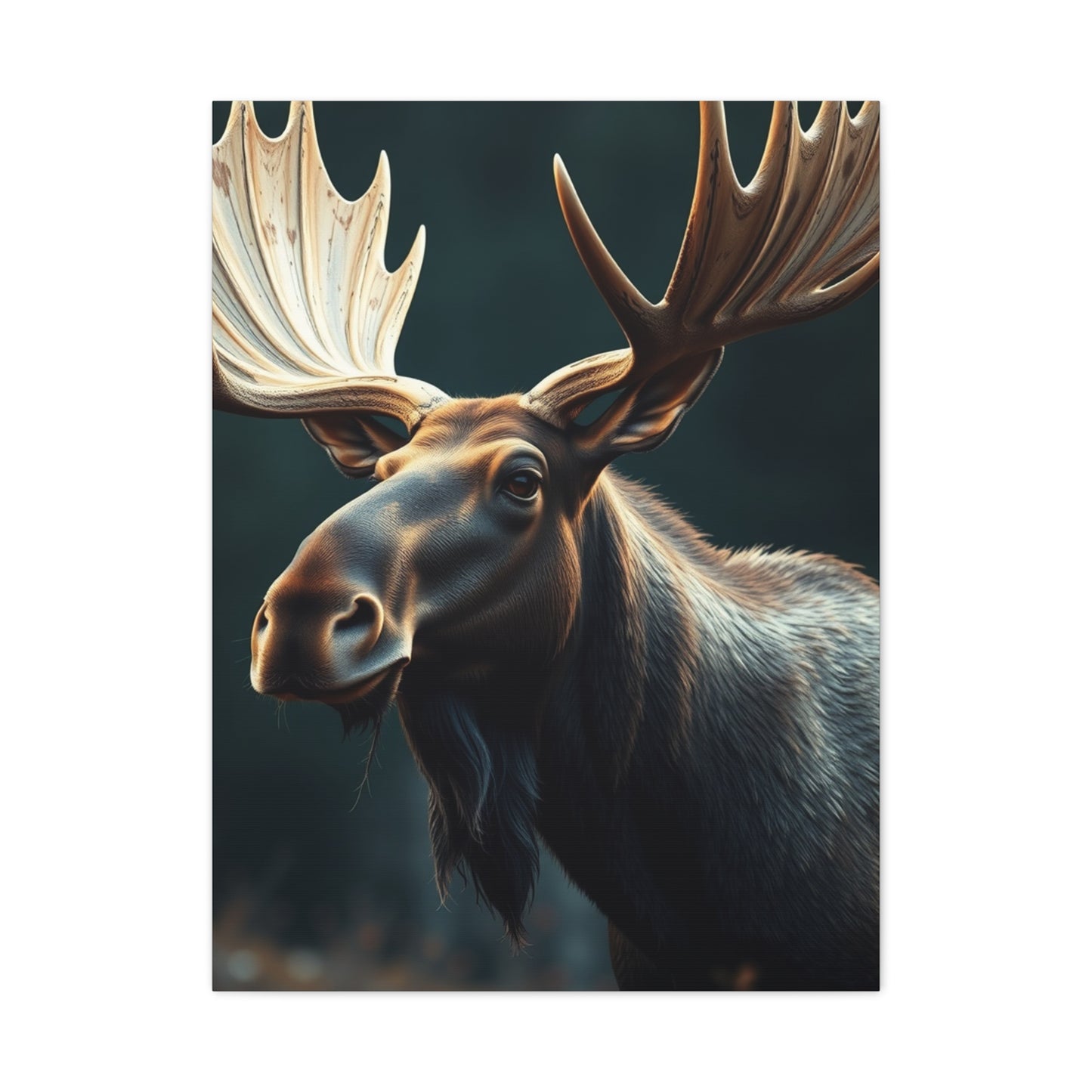 Moose Art Refined Canvas Wall Art & Canvas Print