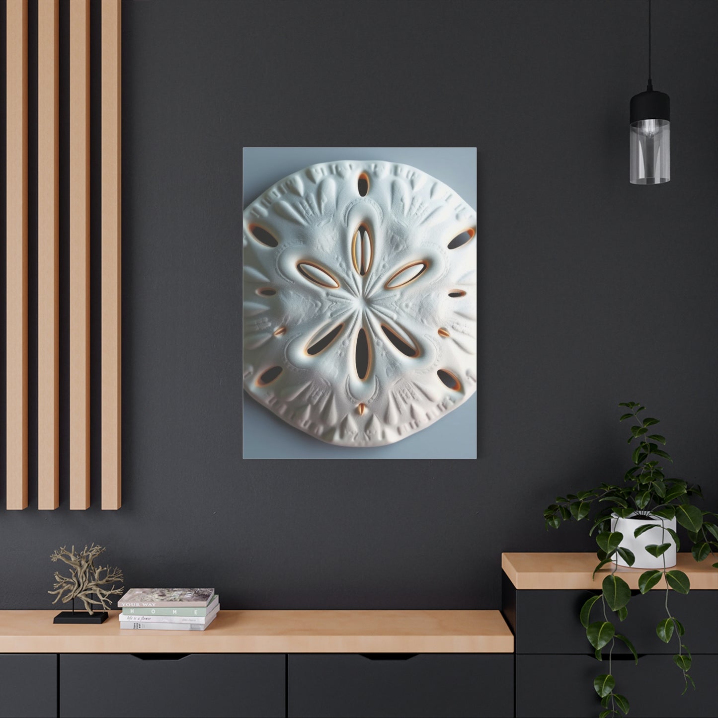 Supreme Sand Dollar Art Collection Wall Art & Canvas Print