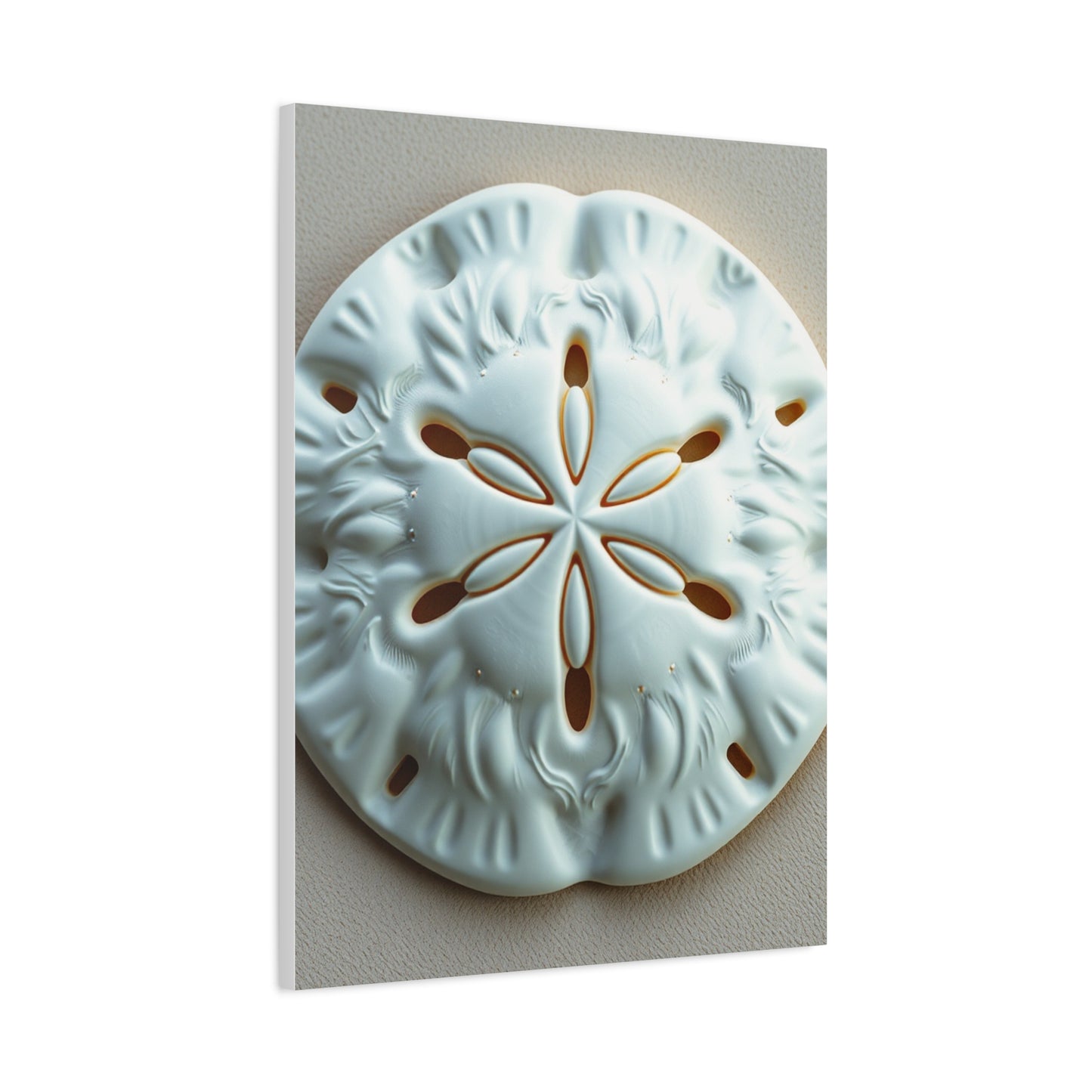 Sand Dollar Art Luxury Canvas Wall Art & Canvas Print
