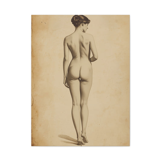 Classical Back Study Figure Wall Art & Canvas Print
