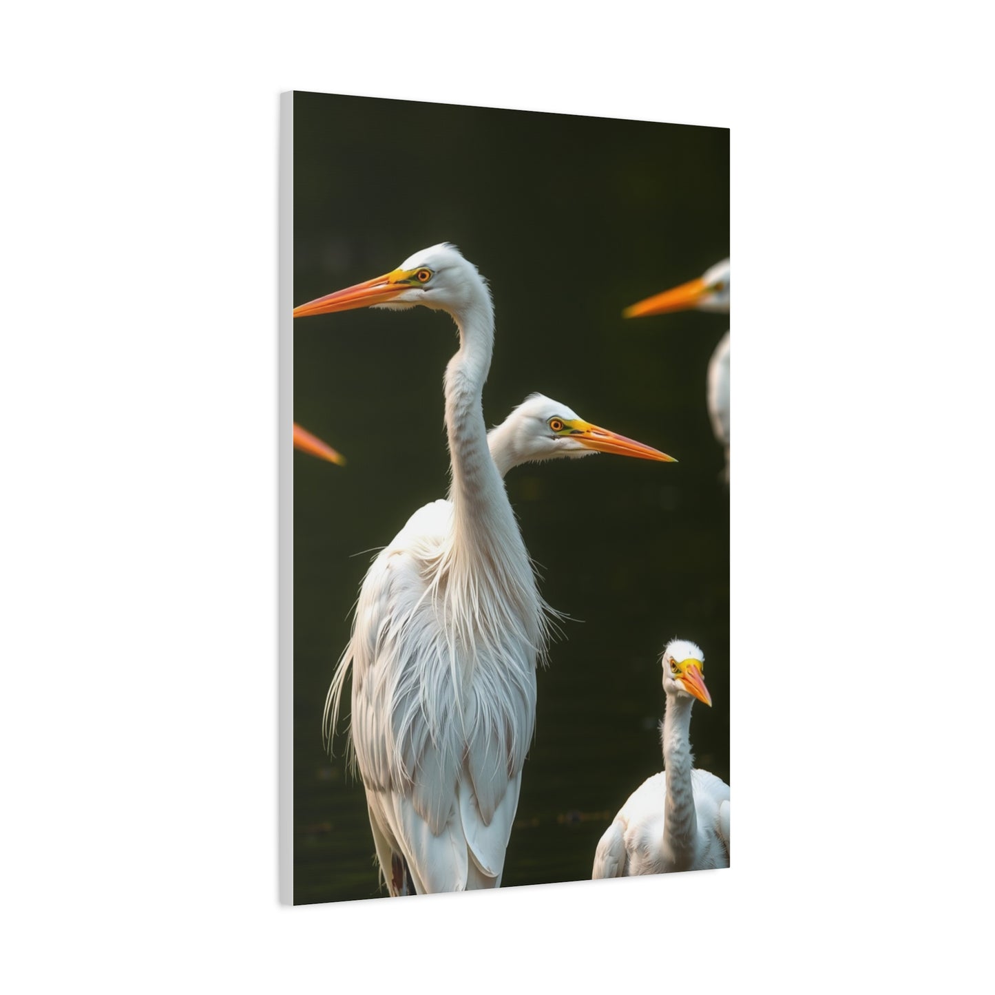 Masterpiece Herons and Egrets Art Vision Wall Art & Canvas Print