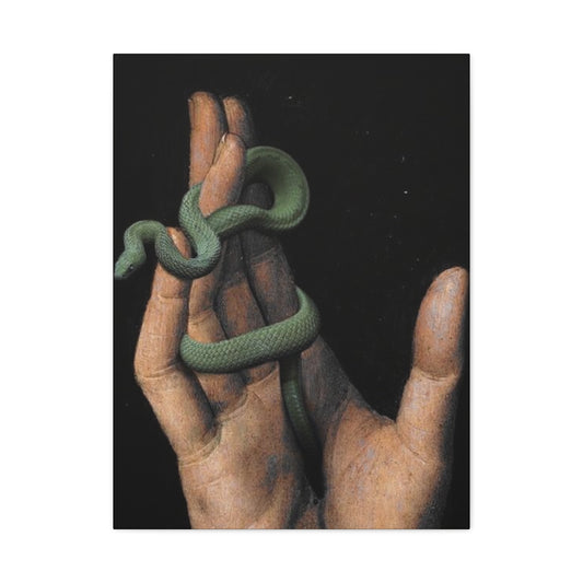 Snake On Hand Wall Art & Canvas Prints