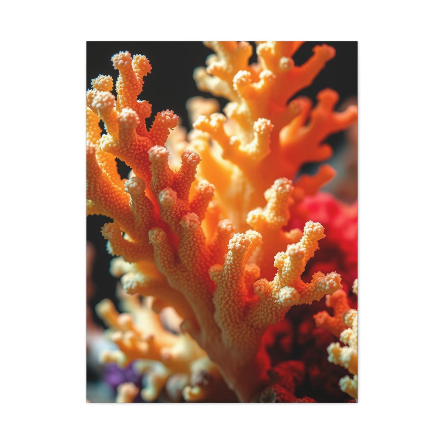Elite Coral Art Vision Wall Art & Canvas Print