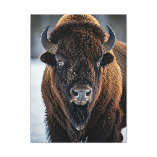 Minimalist American Bison Portrait on Light Background Wall Art & Canvas Print