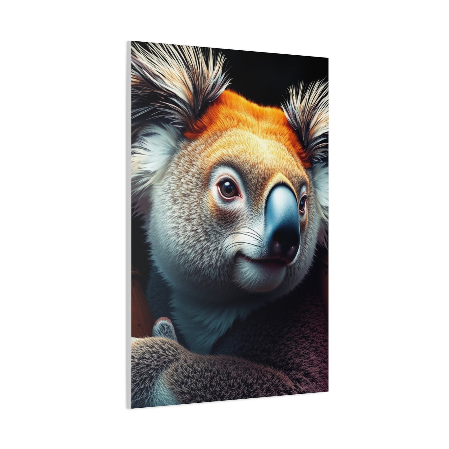 Elite Koala Art Vision Wall Art & Canvas Print