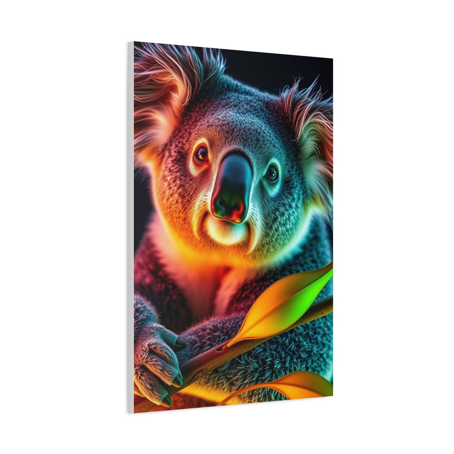 Supreme Koala Art Collection Wall Art & Canvas Print
