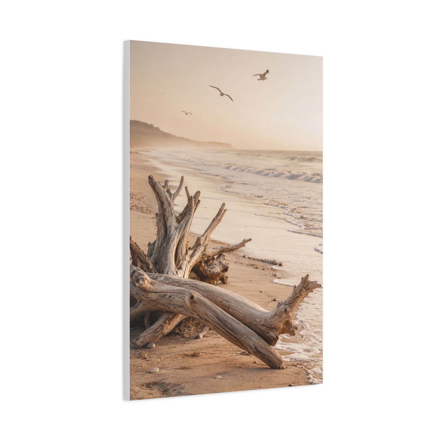 Driftwood Coastal Stillness Shore Wall Art & Canvas Print