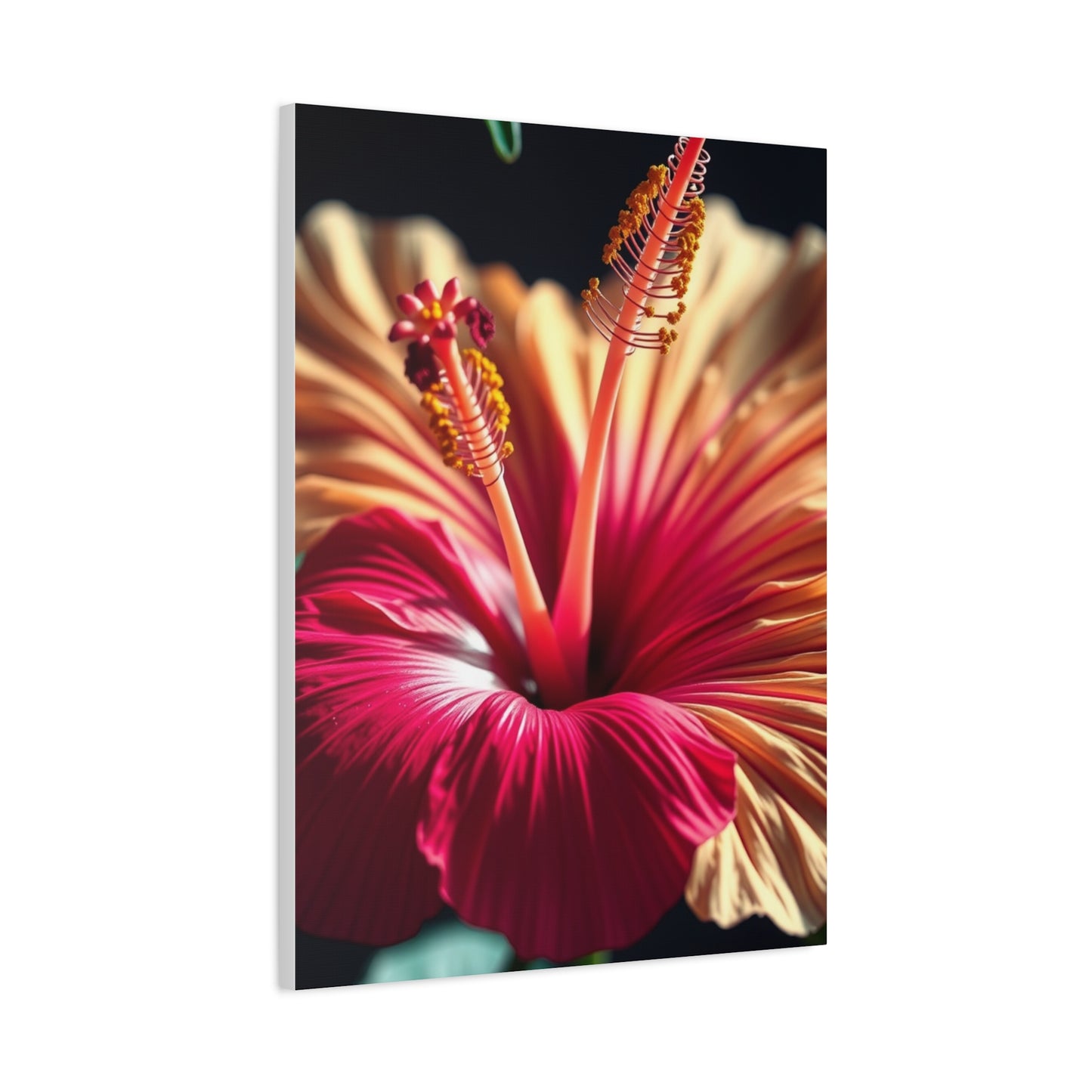Elite Hibiscus Flower Art Vision Wall Art & Canvas Print