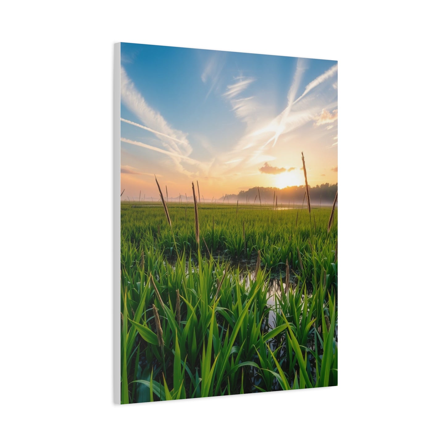 Supreme Marsh & Swamp Art Collection Wall Art & Canvas Print