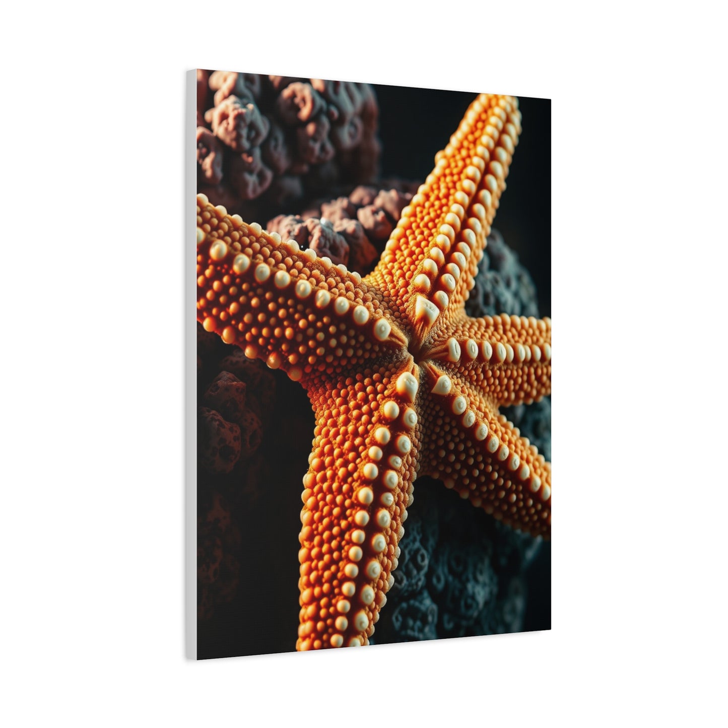 Collection Starfish Art Art Wall Art & Canvas Print