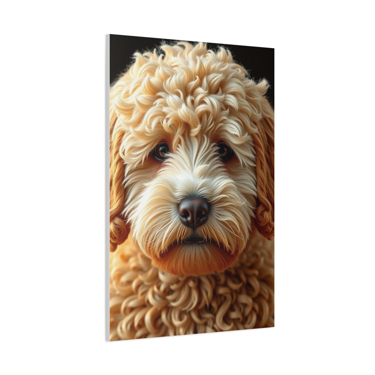 Golden Doodle Art Supreme Gallery Wall Art & Canvas Print