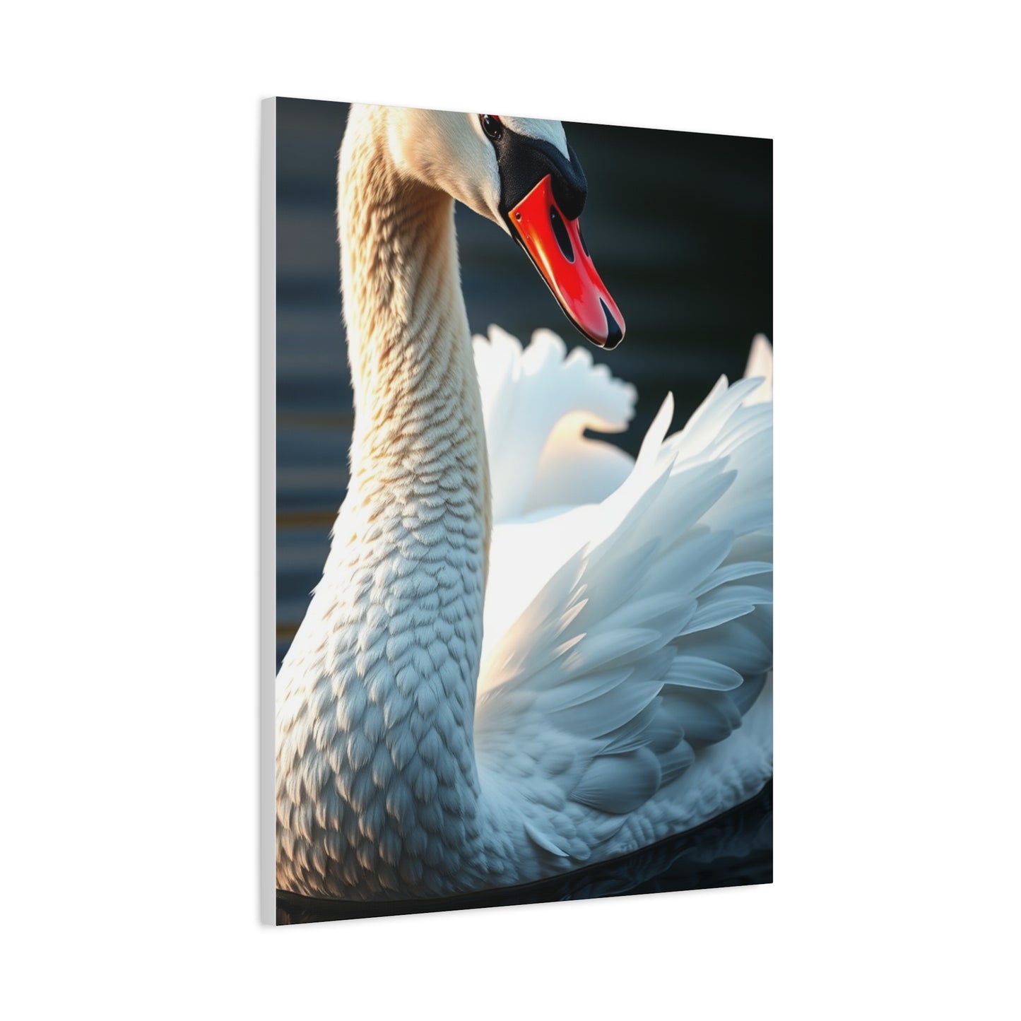 Swan Art Supreme Gallery Wall Art & Canvas Print