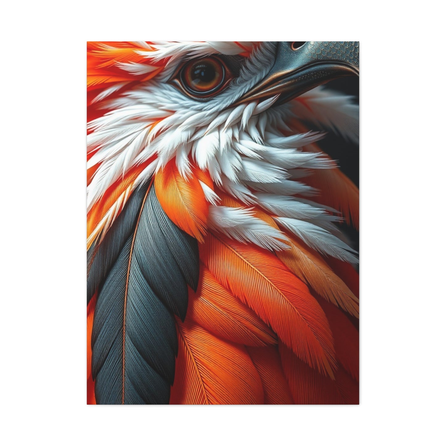 Feather Art Supreme Gallery Wall Art & Canvas Print