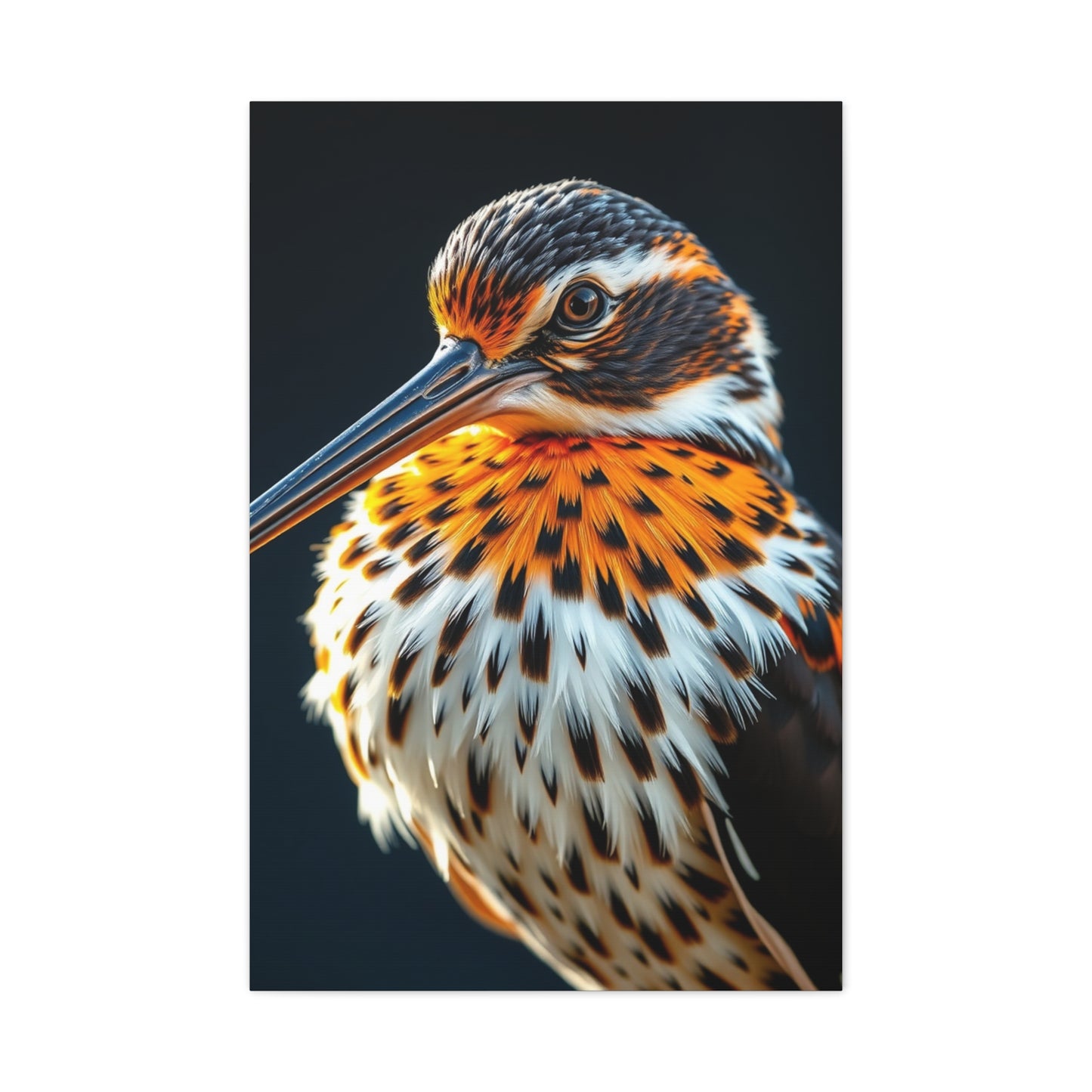 Supreme Sandpiper Art Collection Wall Art & Canvas Print
