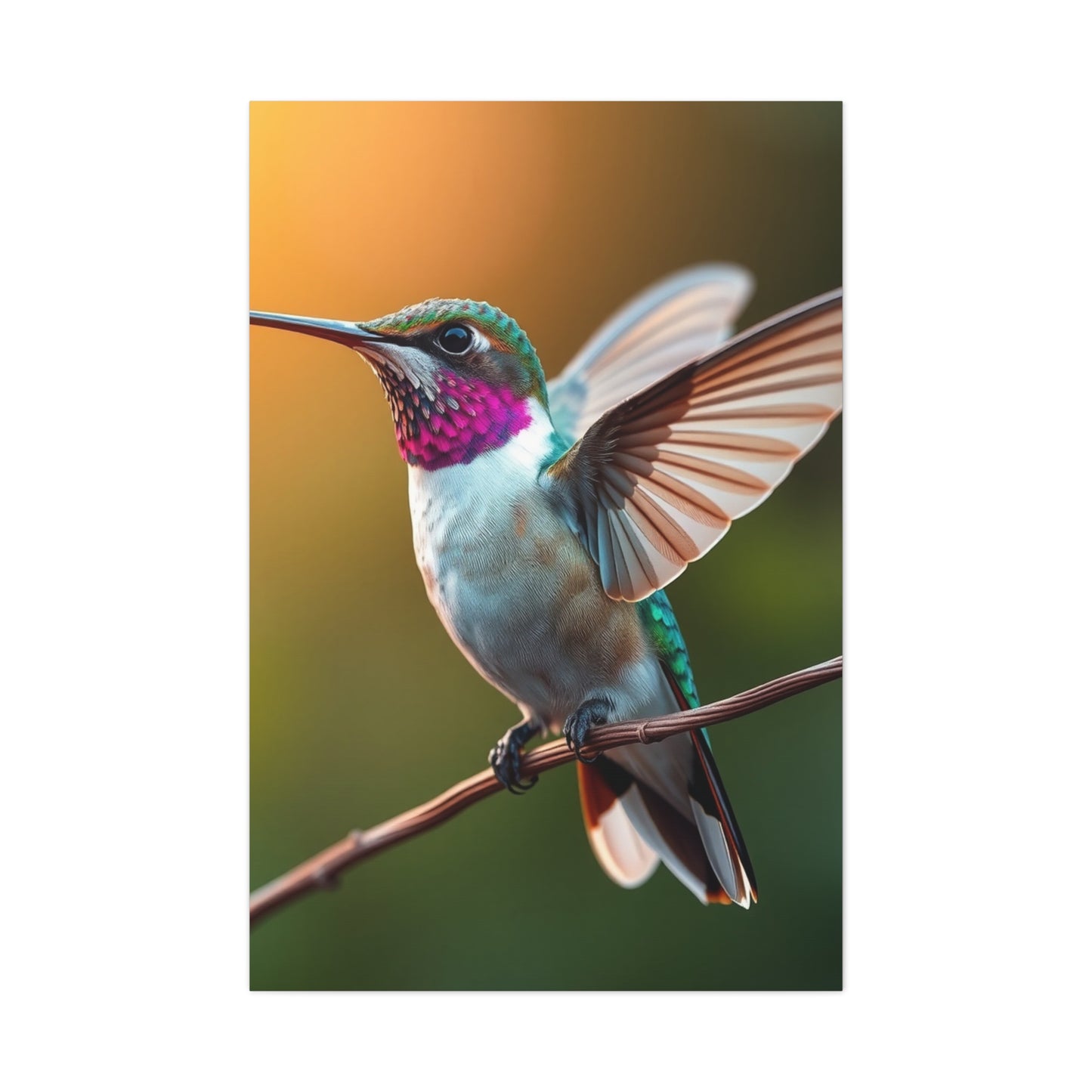 Humming Bird Art Supreme Gallery Wall Art & Canvas Print