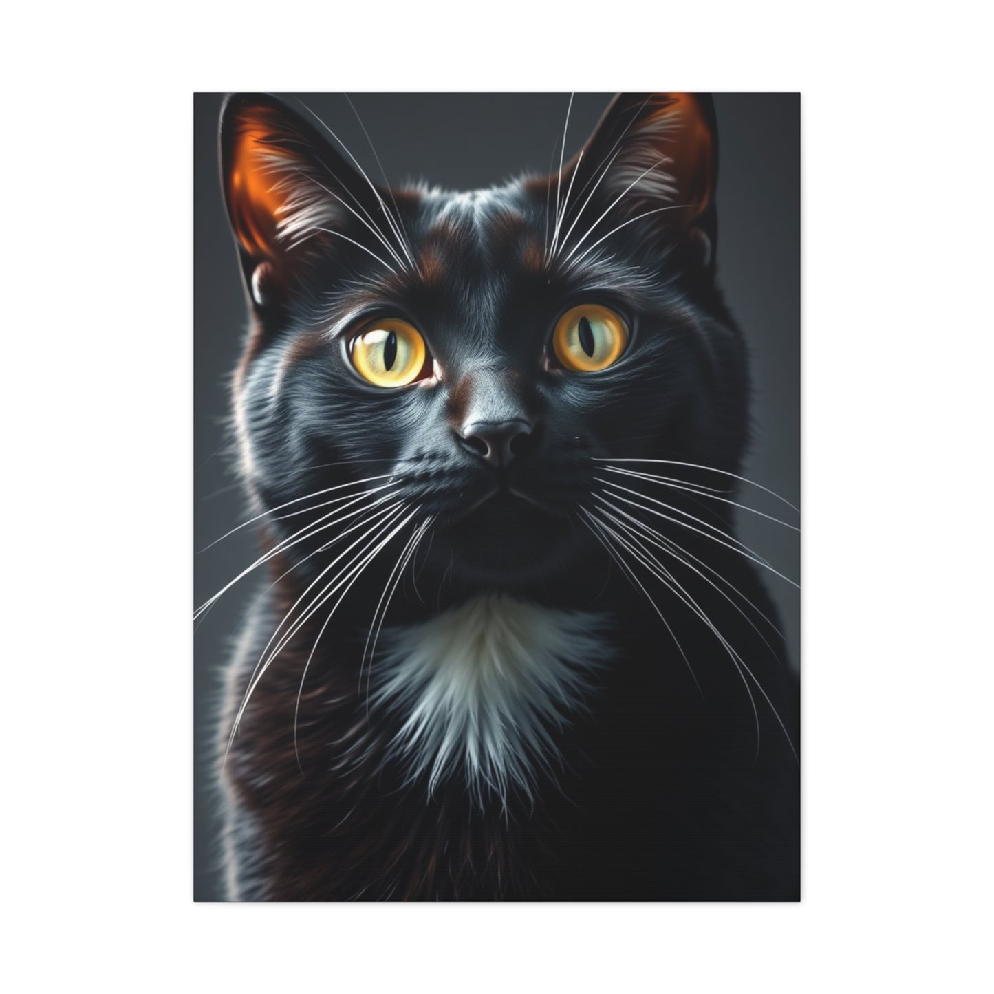 Supreme Tuxedo Cat Art Collection Wall Art & Canvas Print