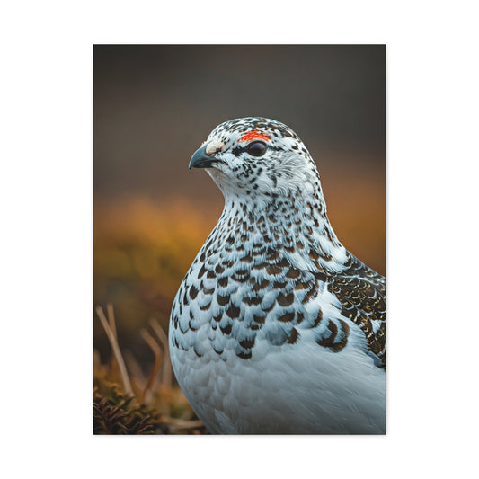 Snowy Grouse Portrait Wall Art & Canvas Prints