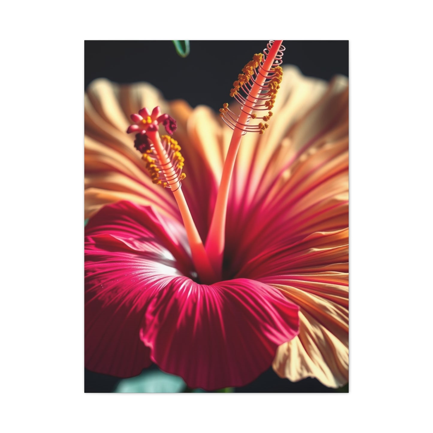 Elite Hibiscus Flower Art Vision Wall Art & Canvas Print