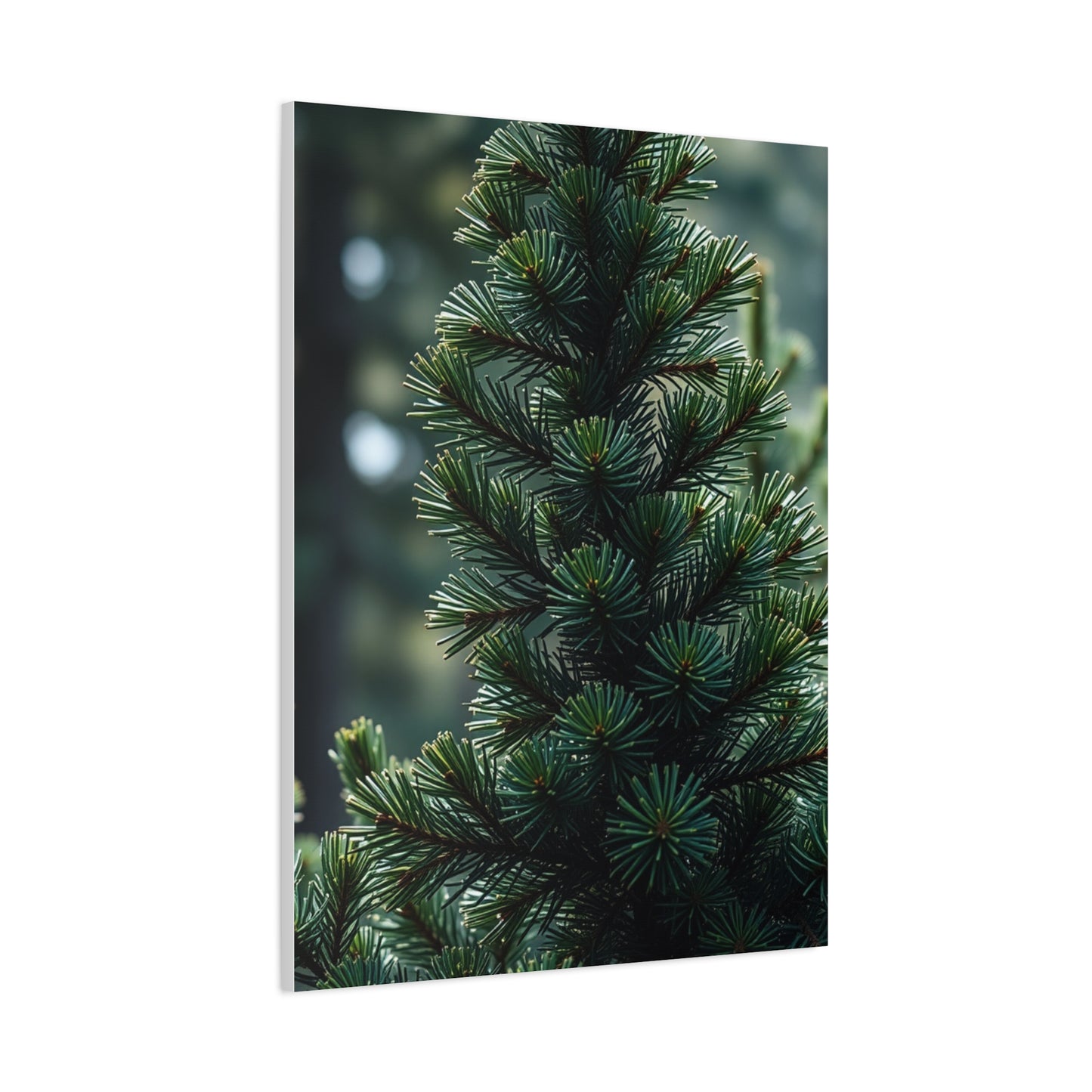 Pine Tree Art Refined Canvas Wall Art & Canvas Print