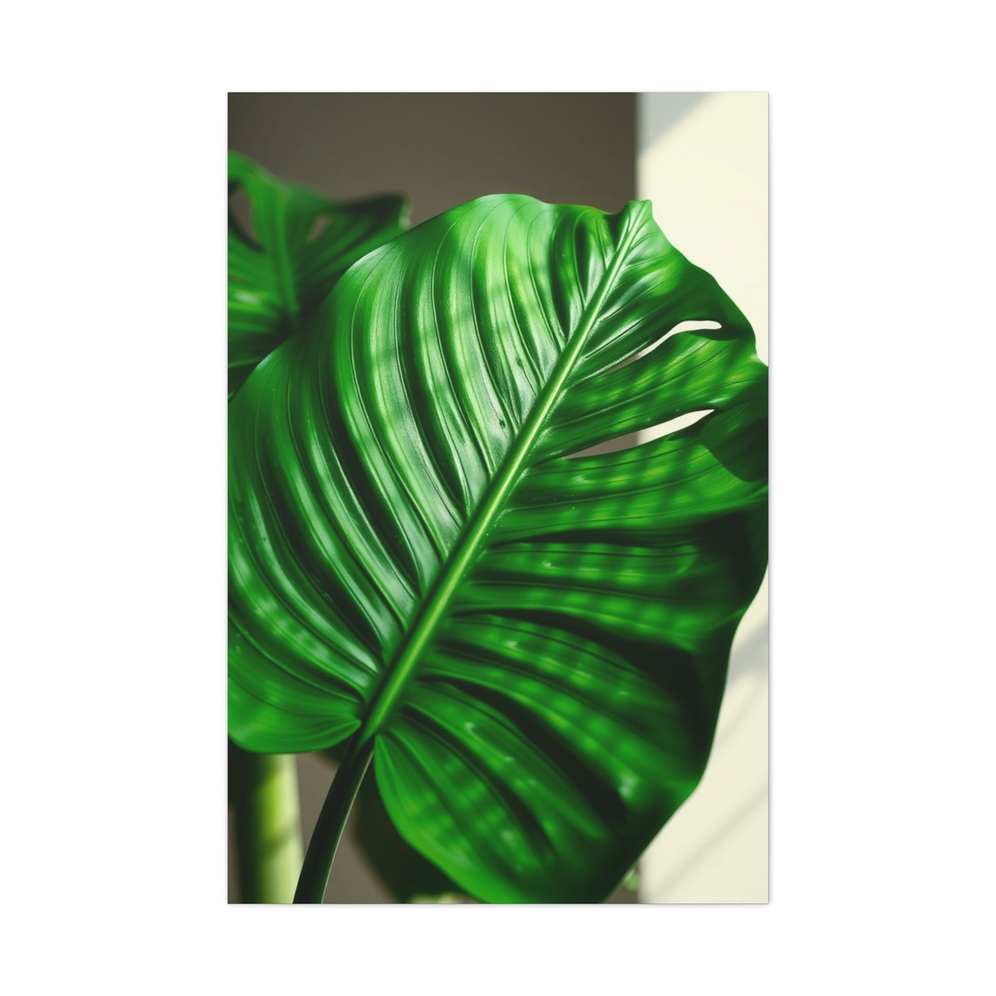 Supreme Monstera Plant Art Collection Wall Art & Canvas Print